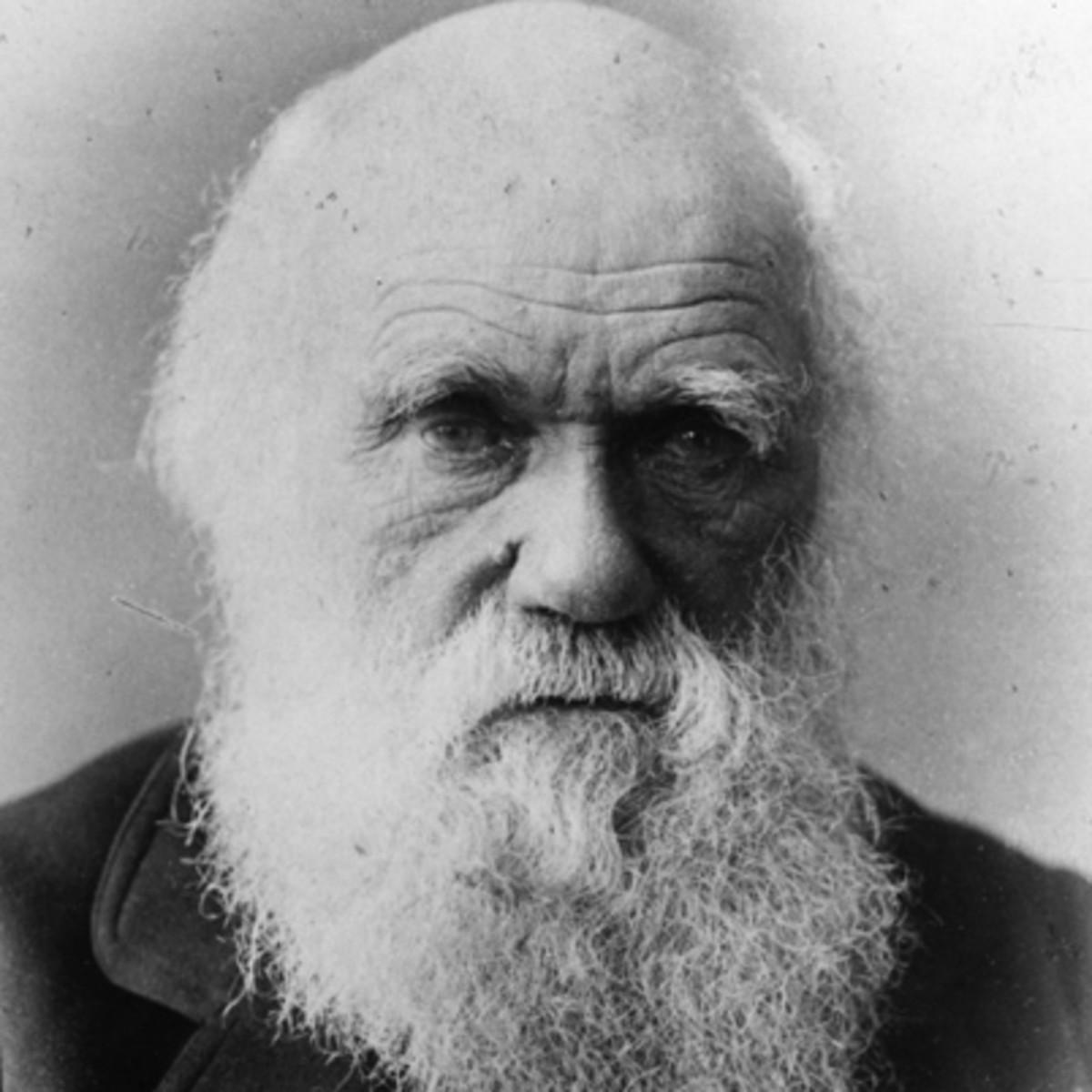 The Scientists: Charles Darwin