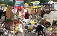 प्लास्टिक कचरे से गहराता संकट