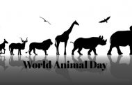 विश्व पशु कल्याण दिवस