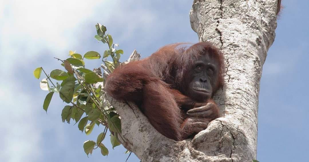 भूखी, प्यासी, परेशान और  डरी