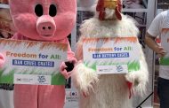 इस स्वतंत्रता दिवस पर विशाल 'सुअर' और 'मुर्गी' ने करी जीवन भर आज़ाद रहने  की माँग