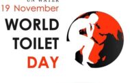विश्व शौचालय दिवस