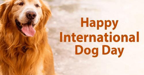 International Dog Day