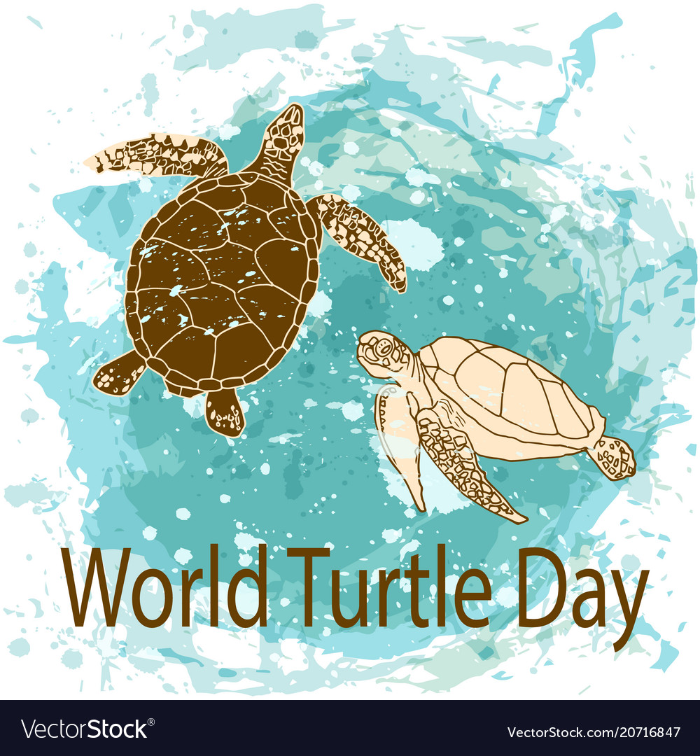  World Turtle Day