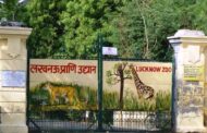 Lucknow Zoo
