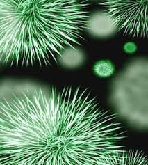 शहर की हवा में अदृश्य बैक्टीरिया खुलेआम घूम रहे हैं, इससे मानव स्वास्थ्य को खतरा है